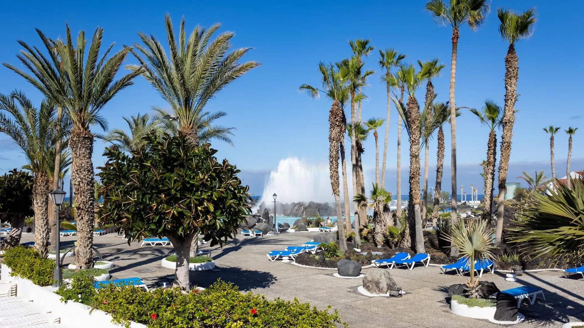 Appartement Palm Avenue - Adults Only - à Puerto de la Cruz  Espagne