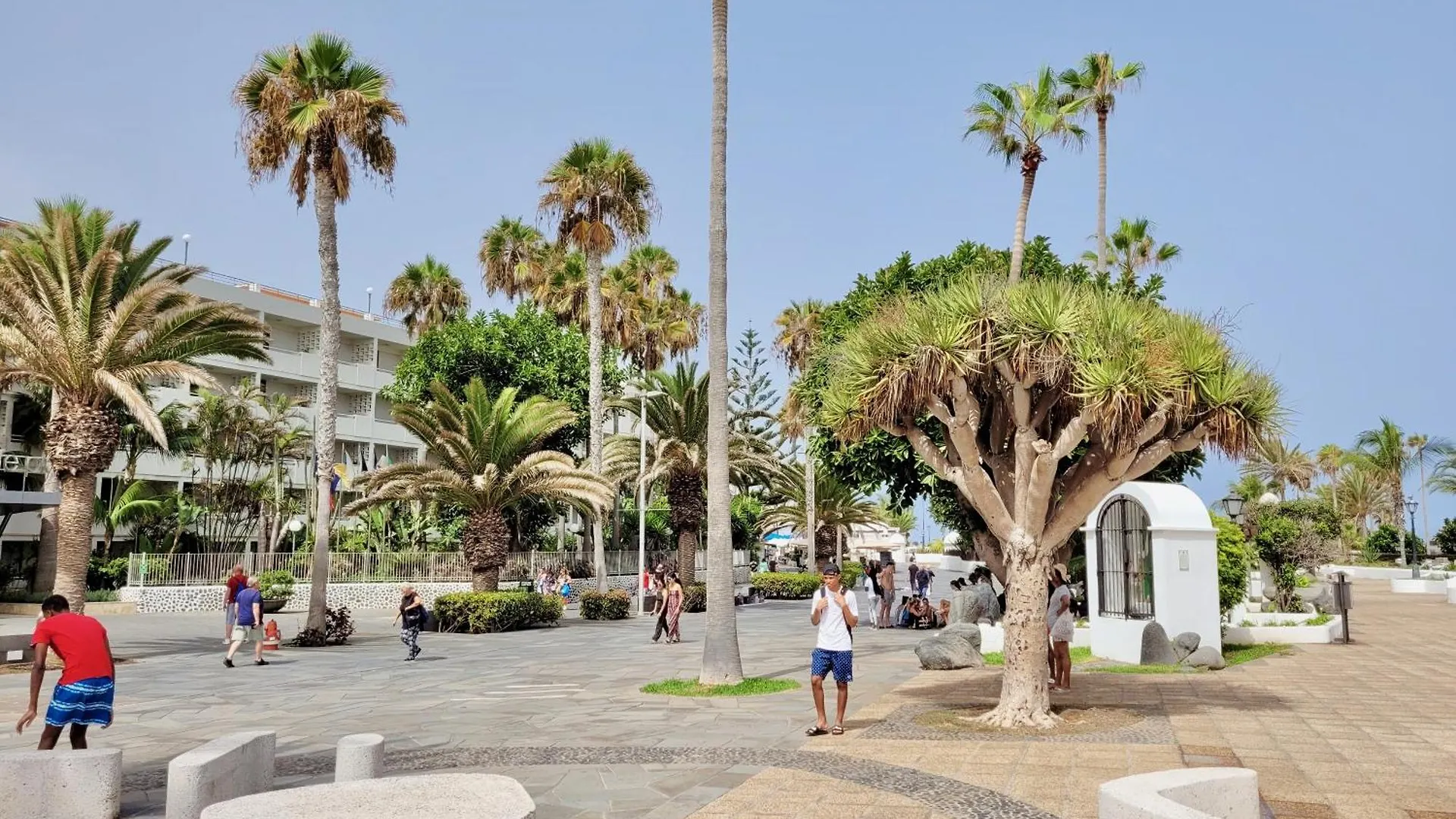 Appartement Palm Avenue - Adults Only - à Puerto de la Cruz  Puerto de la Cruz (Tenerife)