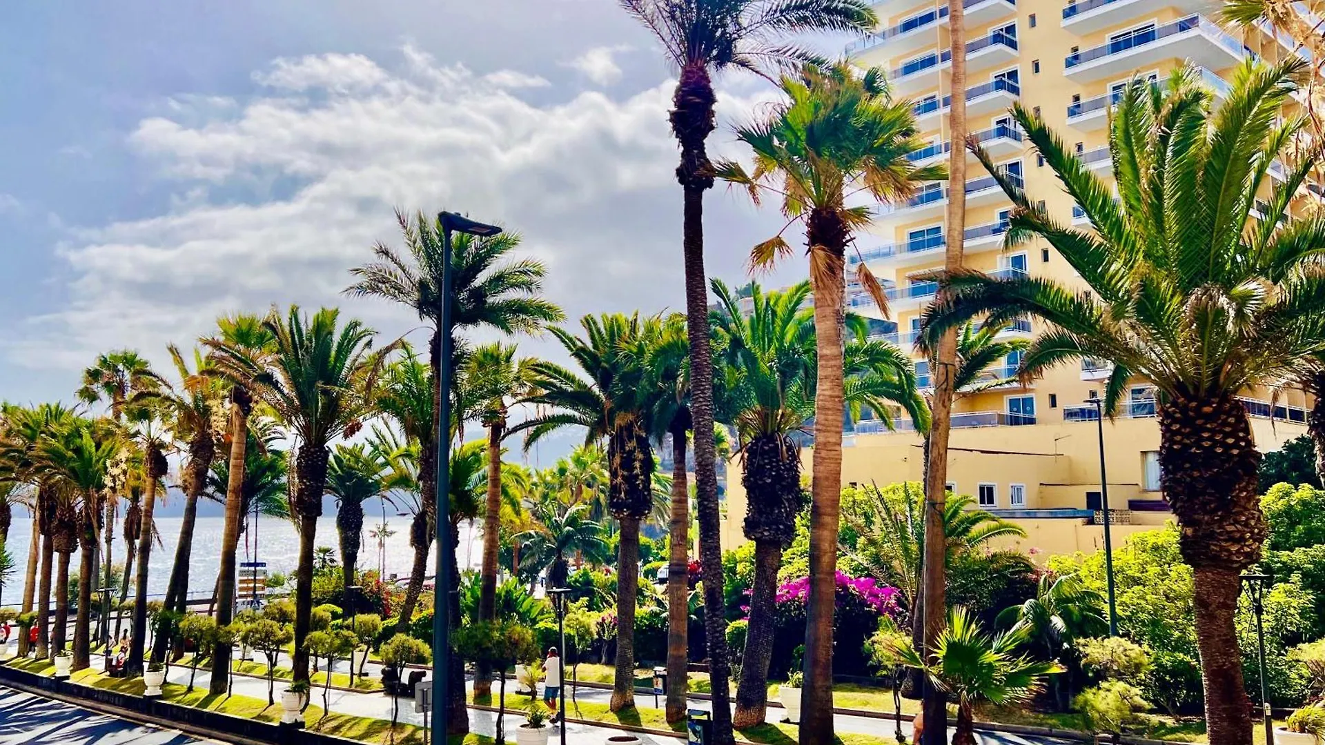 Appartement Palm Avenue - Adults Only - à Puerto de la Cruz